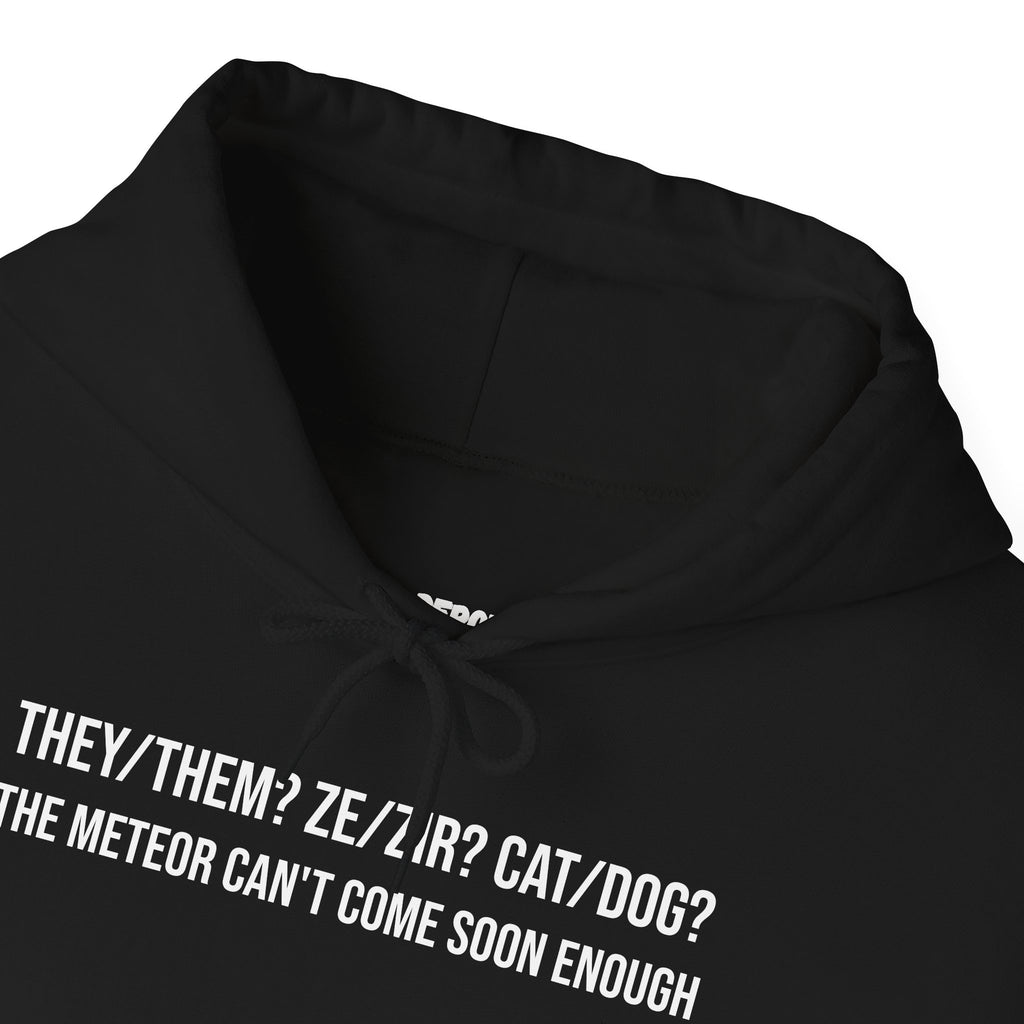 THEY/THEM ZE/HIR HOODIE
